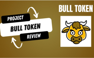 Bull token price
