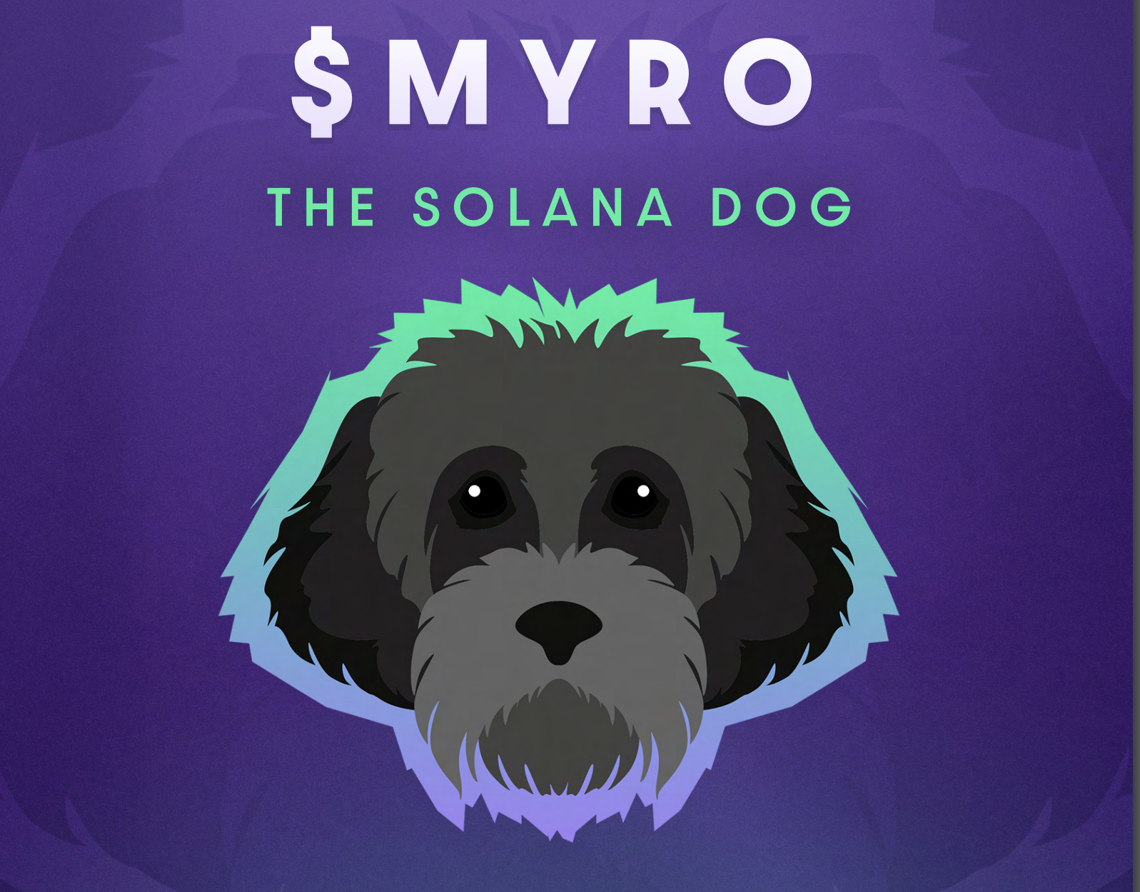 Myro The Solana Dog
