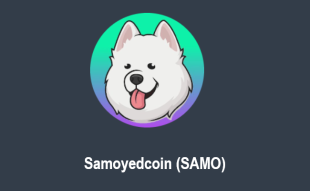 Samoyedcoin price