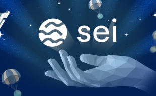 SEI