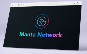 MANTA Network price