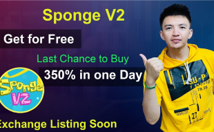 Crypto YouTuber Crypto Boy Provides Update on Sponge V2 Ahead of Its Upcoming Listing