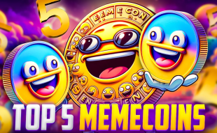 Top 5 Meme Coins Poised for Potential Explosions in 2024