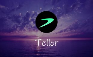 Tellor price