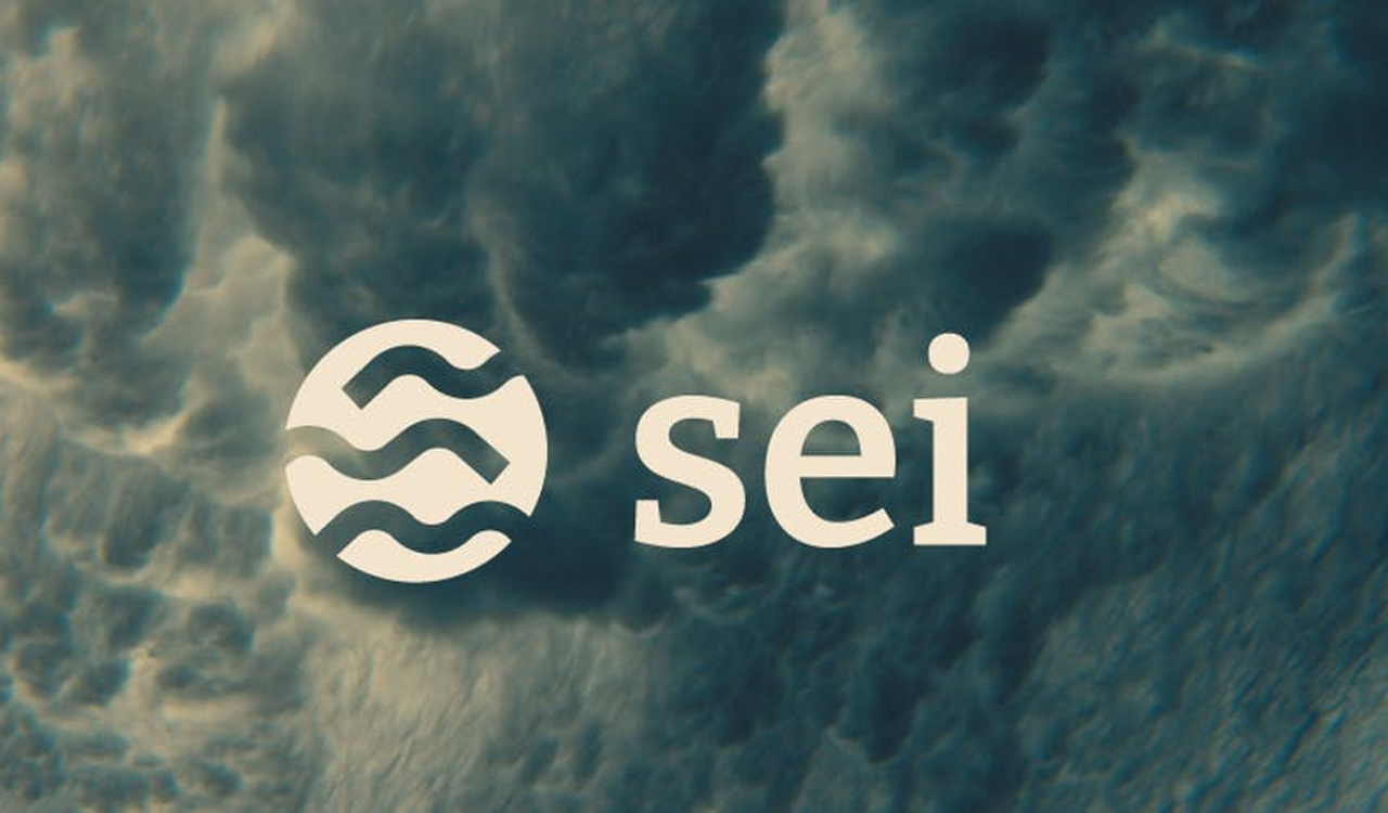 SEI Feature Image