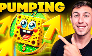 Sponge Meme Coin Jumps 108% - Next Cryptocurrency to 10X Your Money?