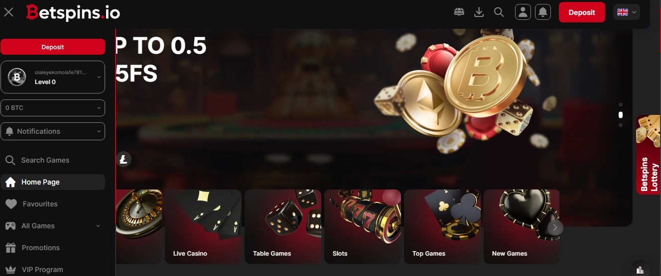 Betspins Casino interface