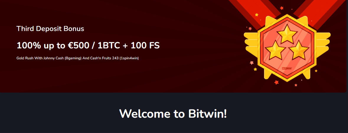 Bitwin promo