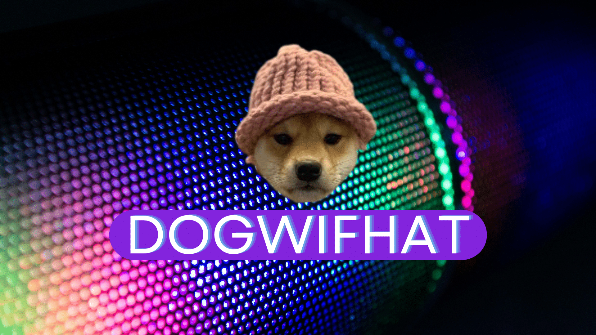 Dogwifhat Price Prediction: Top Gainer WIF Pumps 20%, But Investors Flock To This Solana Meme Coin Rival As Its Huge Airdrop Looms