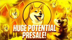 Crypto YouTuber Cilinix Crypto Reviews New Meme Coin Presale - Should You Invest in Dogecoin20?