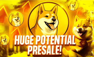 Crypto YouTuber Cilinix Crypto Reviews New Meme Coin Presale - Should You Invest in Dogecoin20?