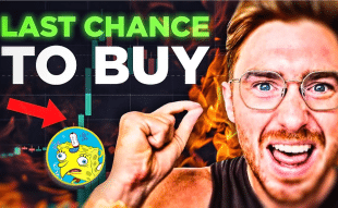 Conor Kenny Video Update on Hottest Meme Coin Launching Soon
