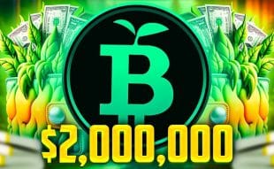 Could Green Bitcoin (GBTC) Be A Better Investment For The Pre-Halving Bitcoin Rally