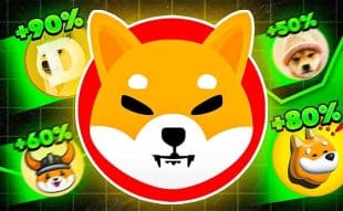 Shiba Inu Price Prediction Could Recent SHIB Token Burn Signal A Bullish Trend? Or, Is It Time To Consider Dogecoin20?