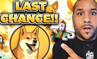 Crypto Gains Dogecoin20 Presale Review - Last Chance to Buy Before $DOGE20 Claim and Launch