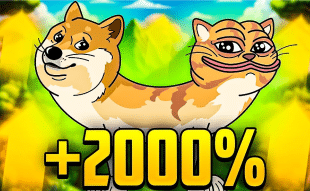 DogWifCat Price Analysis - Top Trending Solana-Based Meme Coin on DEXTools Today