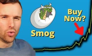 Gerhard Bitcoin Strategy YouTube Channel Reviews Smog's Recent Rally And Analyzes Its Upside Potential