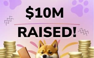 Low Cap Crypto, DOGE20, Surges to $10 Million in Presale, Offering Investors a Final Opportunity to Buy