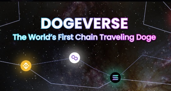Chain Travelling Doge