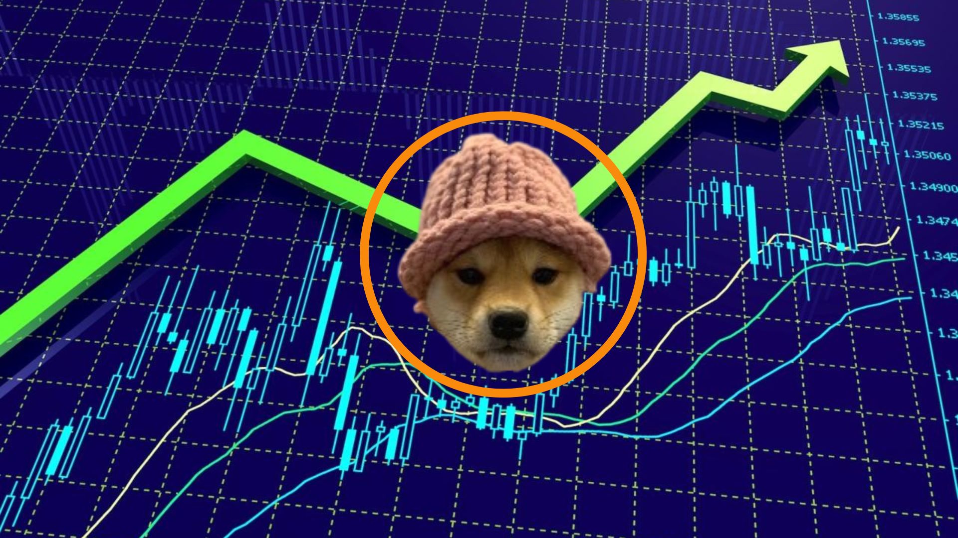 Dogwifhat Price Prediction: WIF Jumps 5% As Traders Send $6.8 Million To New Solana Meme Coin Slothana