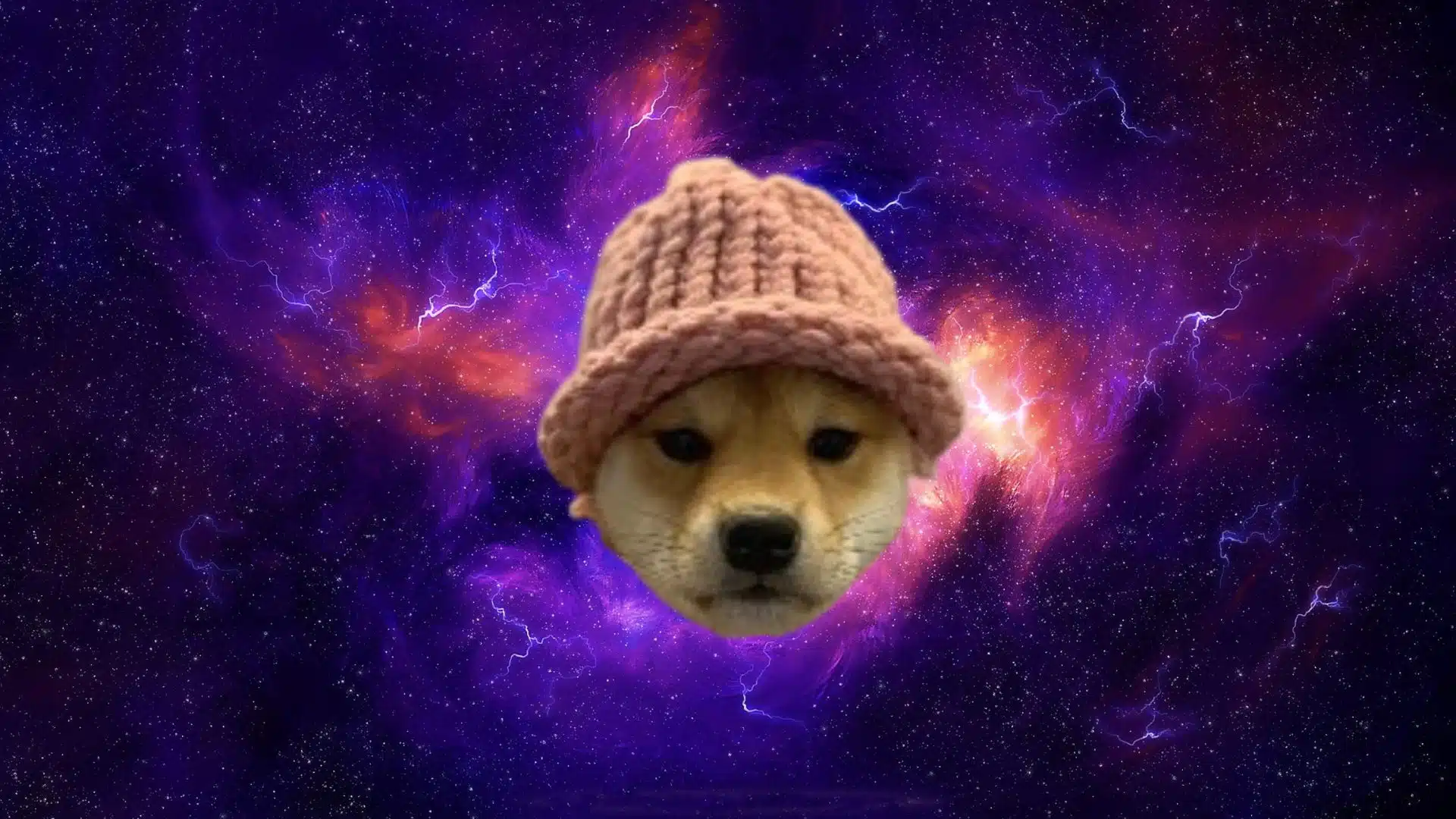 Dogwifhat Price