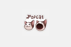 Popcat Price