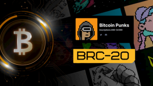 bitcoin-ordinals and brc20-tokens