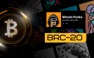 bitcoin-ordinals and brc20-tokens