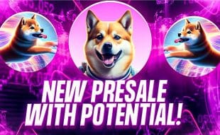 Cilinix Crypto Reviews The Newest Dog Meme Coin Presale Aims for Multi-Chain Domination