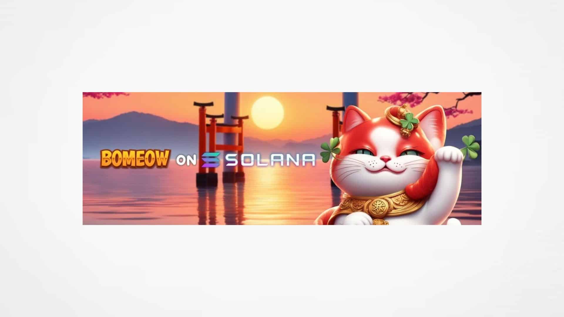 Book Of Meow Price Prediction: BOMEOW Soars 175% In A Week As This Solana Rival Hints At Another CEX Listing