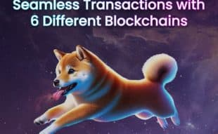 Dog-Themed Meme Coin With Multi-Chain Features Raises Over $10 Million In Presale