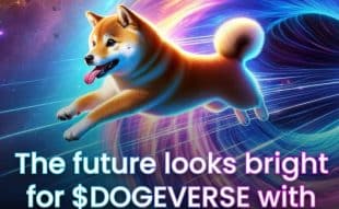 Dogeverse Merges the Best of Meme Coins with Advanced Bridging Technology - ClayBro Presale Reviews