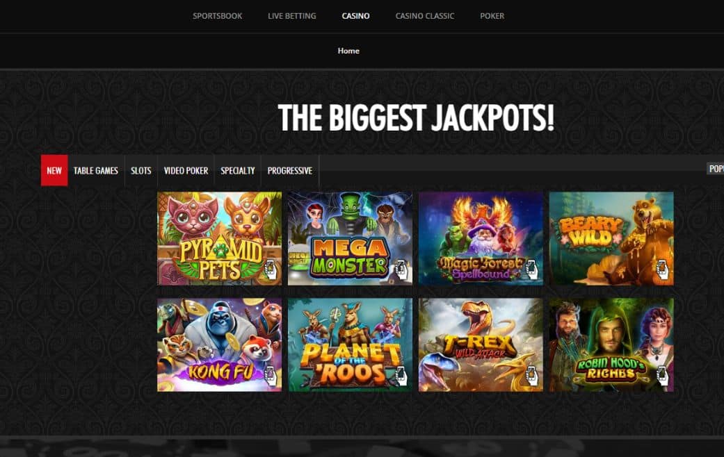 everygame-fast-payout-casino-homepage