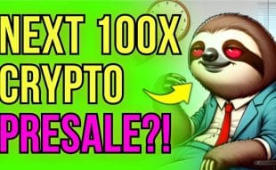 Hottest Sloth-Themed Crypto Set for Exchange Listing Soon - Next 100x Solana Meme Coin?
