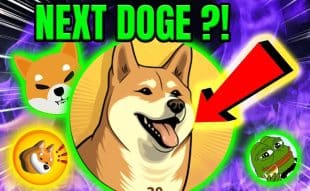 Potential Challenger to Dog-Themed Meme Coin Supremacy - Crypto ZEUS Presale Review