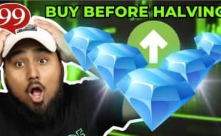 Top 5 Altcoins to Explode Before Bitcoin Halving - Best Cryptocurrencies to Buy Now