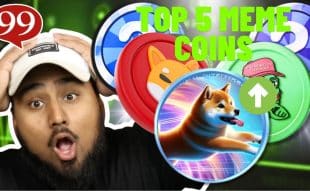 Top 5 Meme Coins To Diversify Your Portfolio For Potential Gains - $DOGEVERSE, $DOGE20, $SHIB, $PEPE, and $FLOKI