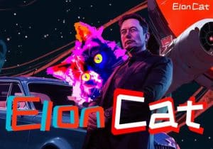 Cat of Elon price