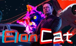 Cat of Elon price