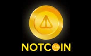 Notcoin price