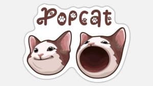 Popcat Price