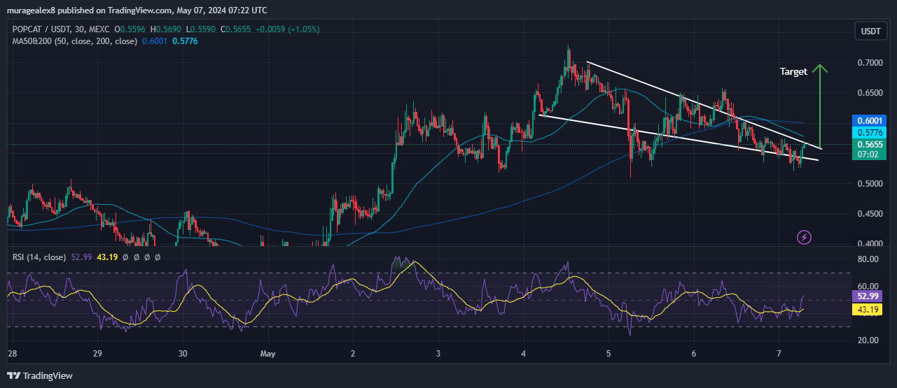 Popcat Price Chart Analysis Source: Tradingview.com