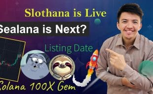 Crypto Boy On The Lookout For The Next Presale Gem In Solana Could $SEAL Be The Next $SLOTH?