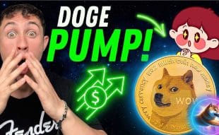 $DOGE Price Surge Following Tesla's Adoption of Dogecoin as a Payment Option