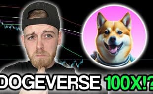 Dogeverse Presale Ends Soon Multi Chain Meme Coin With 100x Potential