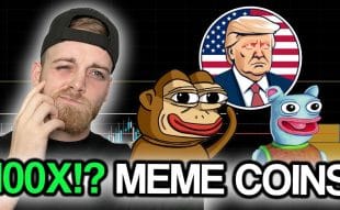 Top Meme Coins Primed For 100x Growth - $MAGA, $PONKE, $BRETT, And The Emerging $DOGEVERSE