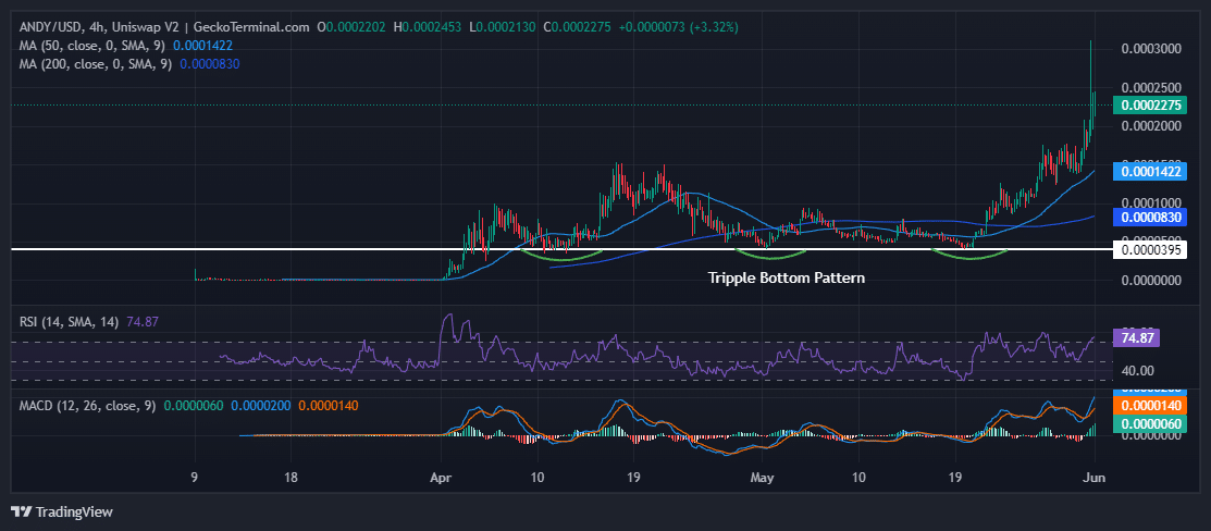 Andy Price Chart Analysis Source: GeckoTerminal.com