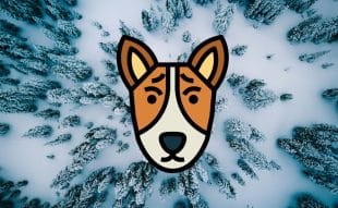 Basenji Price