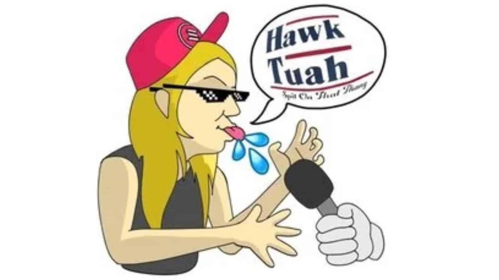Hawk Tuah price