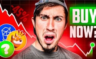 Best Altcoins to Buy During the Crypto Crash - Next Cryptos Set to Explode?